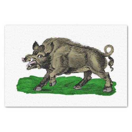 Vintage Wild Boar Drawing BW 3C Tissue Paper