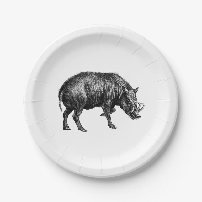 Vintage Wild Boar Drawing BW Paper Plates (Front)