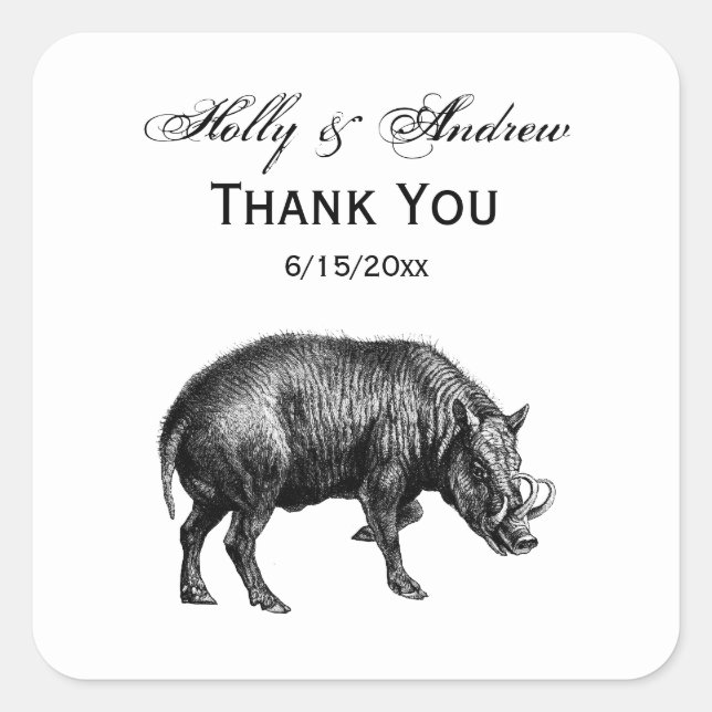 Vintage Wild Boar Drawing BW Square Sticker (Front)