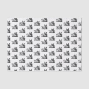 Vintage Wild Boar Head Drawing BW Tissue Paper