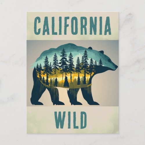 Vintage Wild California Bear Travel Postcard