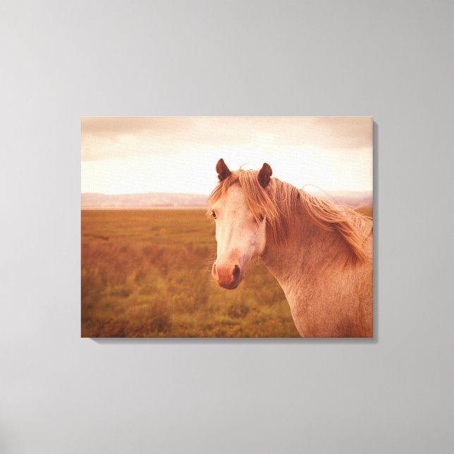 Vintage wild horse canvas print (Front)