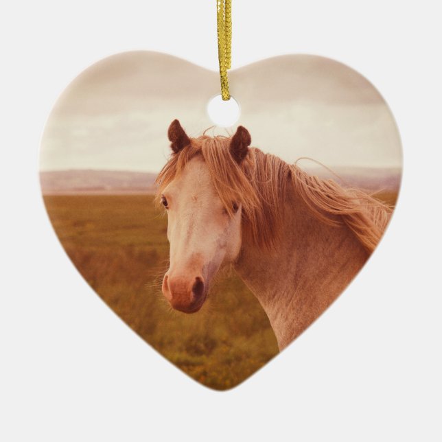 Vintage wild horse ceramic ornament (Front)