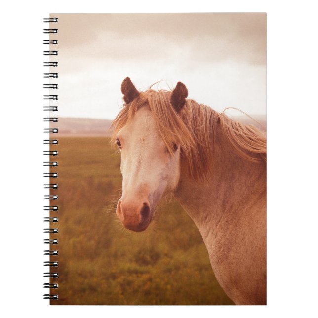 Vintage wild horse notebook (Front)