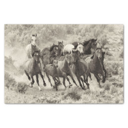 Vintage Wild Horses Tissue Paper