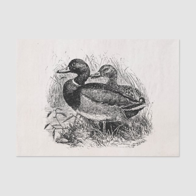 Vintage Wild Mallard Ducks Personalized Template Tissue Paper (Front)