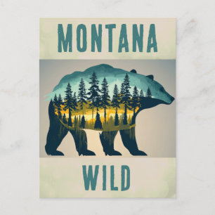 Vintage Wild Montana Bear Travel Postcard