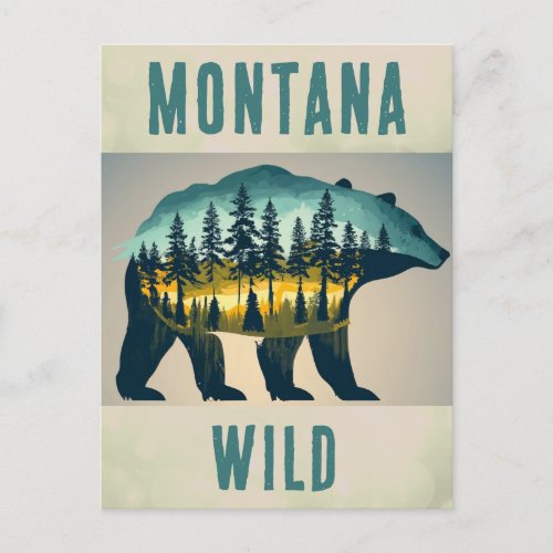 Vintage Wild Montana Bear Travel Postcard