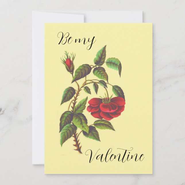 Vintage Wild Red Rose Valentine's Day Card  (Front)