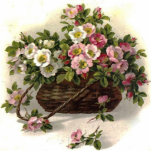 Vintage Wild Roses Cutout<br><div class="desc">Vintage Wild Roses Check out all these other great gift ideas! Customize or personalize any of these items by adding your own text such as names, places or things as well as adding your own graphics to create a unique and original items, office products or gift ideas for any occasion...</div>