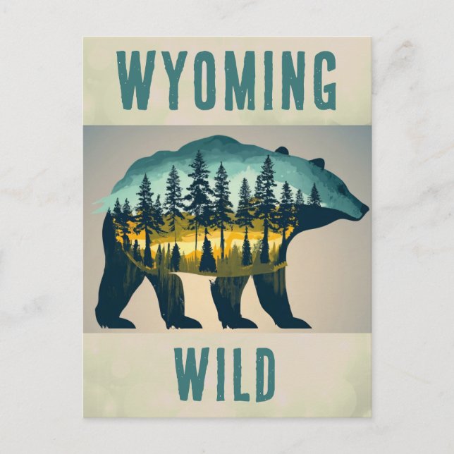 Vintage Wild Wyoming Bear Travel Postcard (Front)