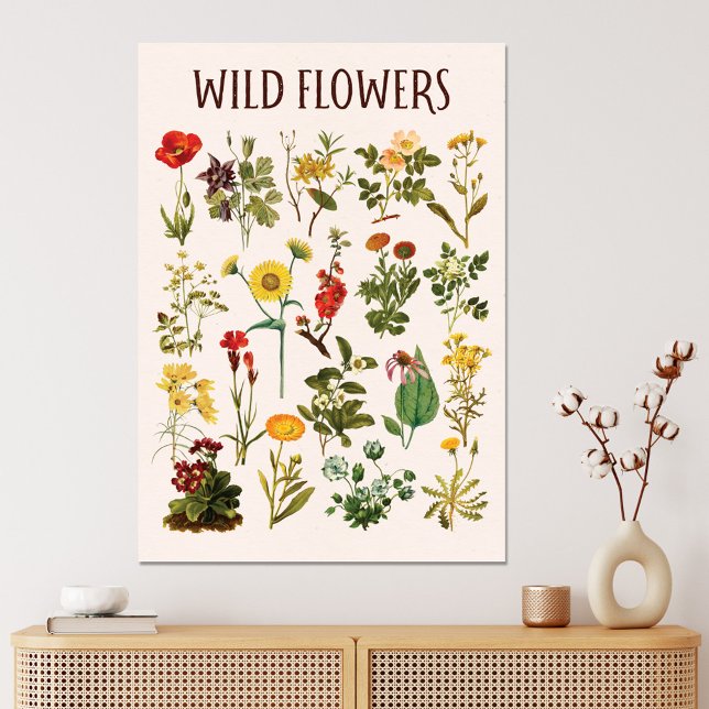Vintage Wildflower Chart Canvas Print (In situ)