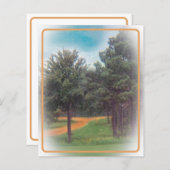 Vintage Wildflower Forest Stationary (Front/Back)