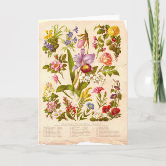 Vintage Wildflower Greeting Card