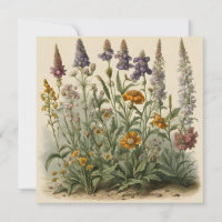 Vintage Wildflowers 