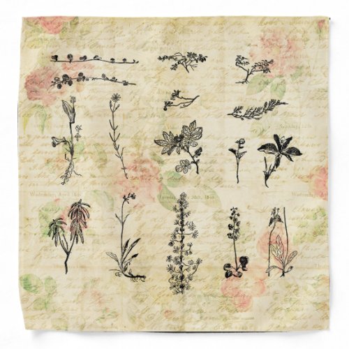 Vintage Wildflowers Floral Script Art Bandana