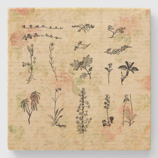Vintage Wildflowers Floral Script Art Stone Coaster Zazzle