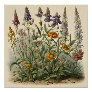 Vintage Wildflowers Poster