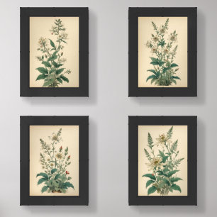 Vintage Wildflowers Print Set