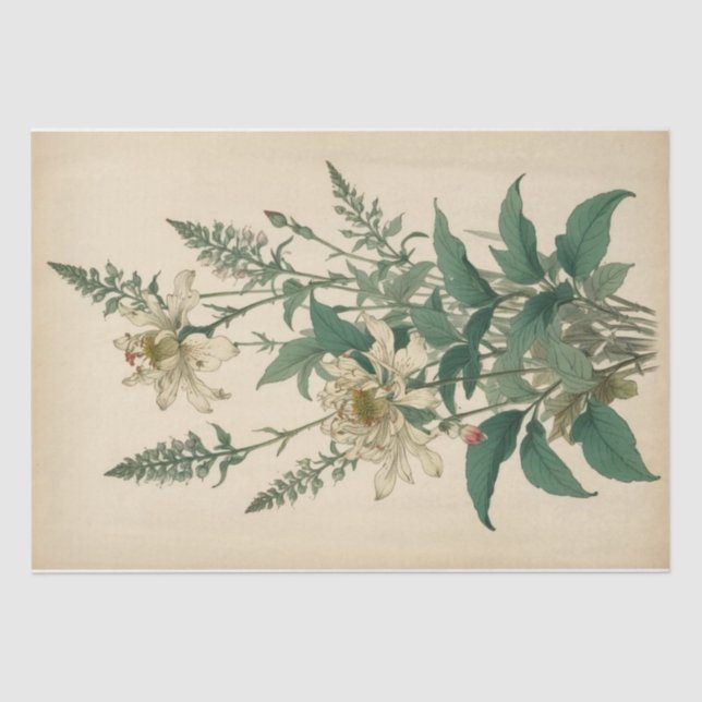Vintage Wildflowers Print Tissue Paper (Front)