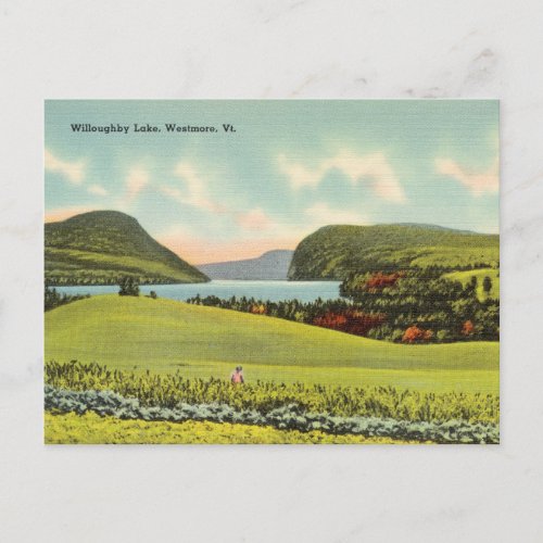 Vintage Willoughby Lake Westmore Vermont Postcard