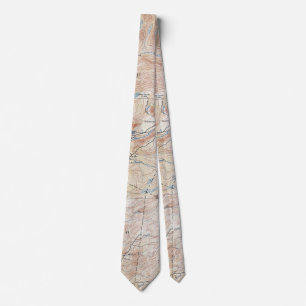 Vintage Wilmurt New York Topographical Map Poster Neck Tie
