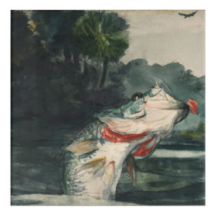 Vintage Winslow Homer Life-Size Black Bass Acrylic Print