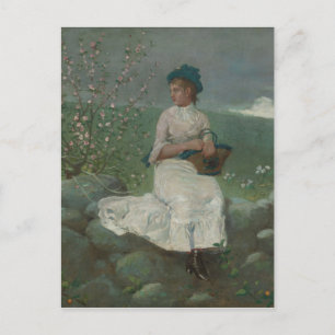 Vintage Winslow Homer Peach Blossoms Postcard