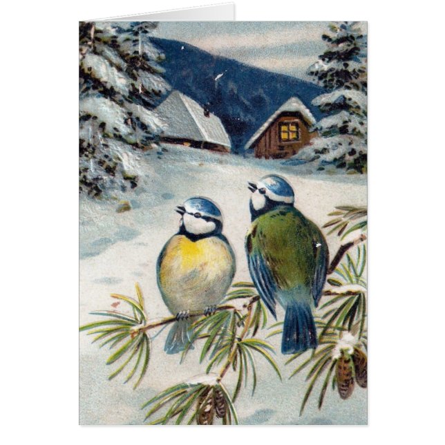 Vintage Winter Birds, Blank Inside (Front)