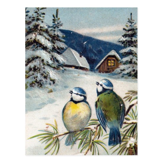 Vintage Winter Birds Postcard