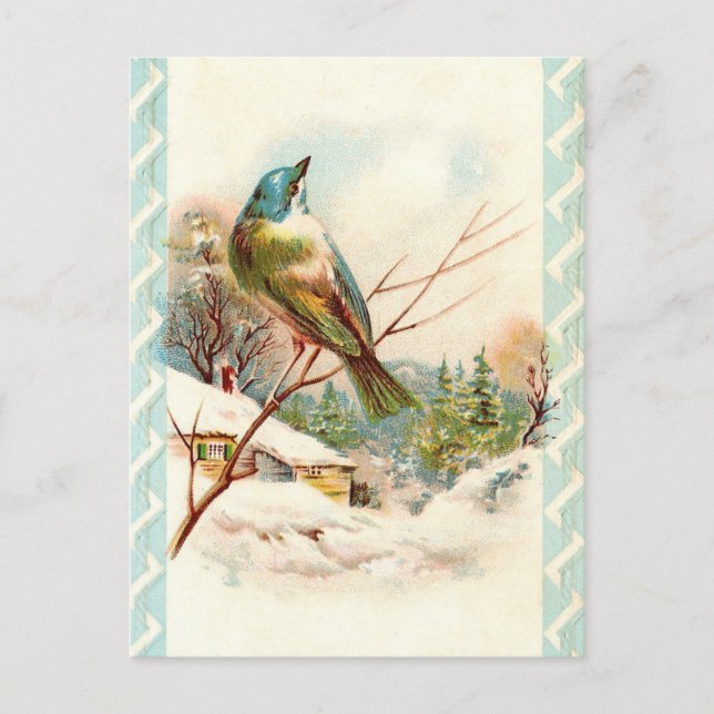 Vintage Winter Blue bird Postcard (Front)