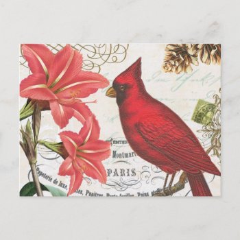 Vintage Winter Cardinal Postcard by GIFTSBYHEATHERMYERS at Zazzle