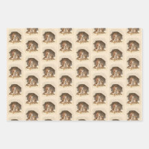 Vintage Winter Cats Wrapping Paper Set