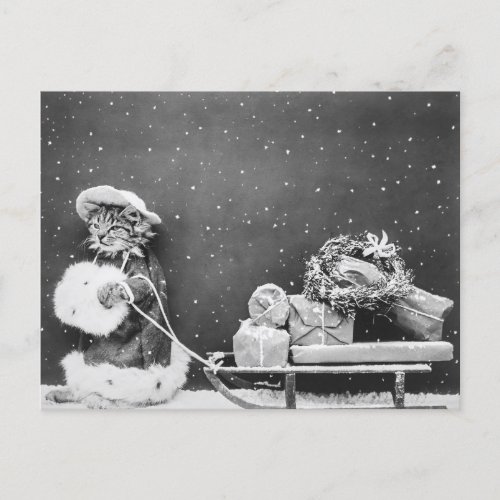 Vintage Winter Christmas Santa Cat with Sleigh Holiday Postcard