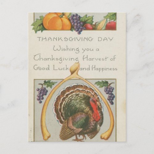 Vintage Wishbone Turkey Grapes Thanksgiving Postcard