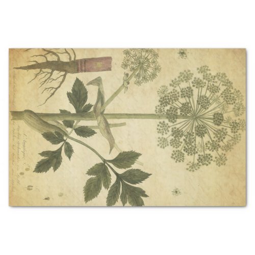 Vintage Wishing Flower Decoupage Tissue Paper