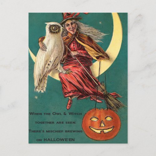 Vintage Witch and Owl Postcard