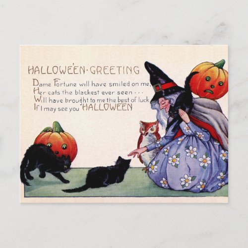 Vintage Witch Black Cat Owl Halloween Postcard