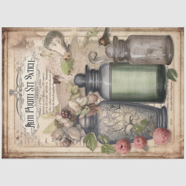 Vintage Witch Potion Design Series 11 Tissue Paper (Front)