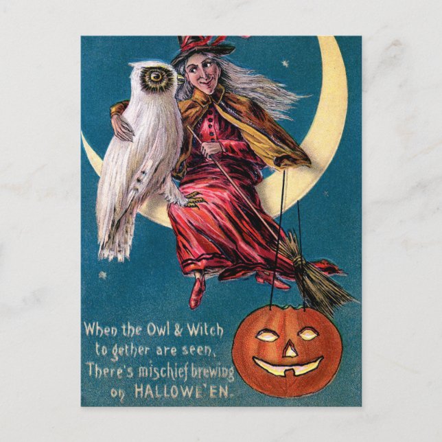 Vintage Witch pumpkin owl Halloween postcard (Front)