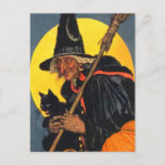 Vintage Witch with black cat Postcard