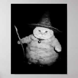 Vintage Wizard Cat Weird Funny Halloween Cat Meme Poster