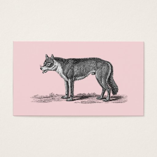 Customizable Vintage Wolf Illustration - 1800's Wolves Template Business Card Templates