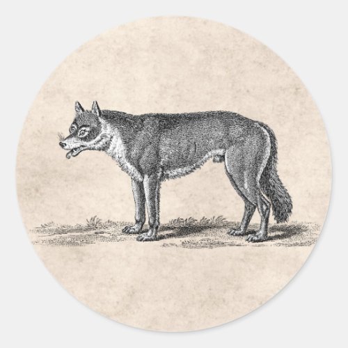 Vintage Wolf Illustration _1800s Wolves Template Classic Round Sticker