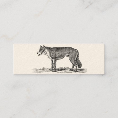 Vintage Wolf Illustration - 1800's Wolves Template Business Cards