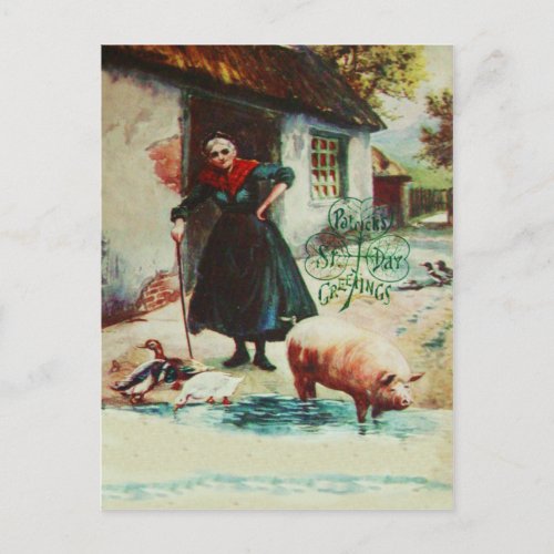 Vintage Woman Pig Ducks St Patricks Day Card
