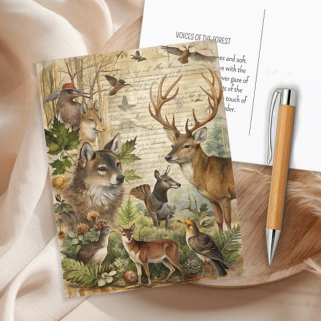 Vintage Woodland Animals Wolf Deer Nature Postcard (Vintage woodland animals postcard)
