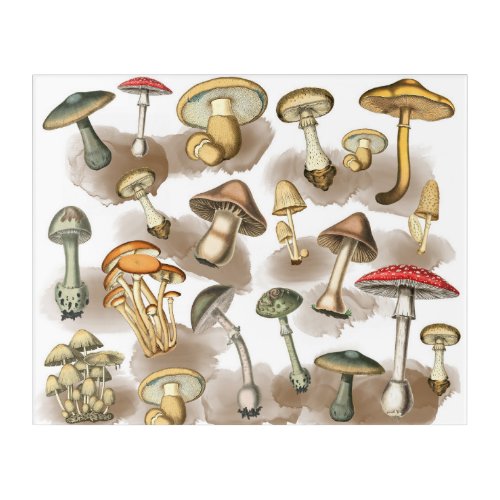 Vintage Woodland Forest Mushrooms Acrylic Print