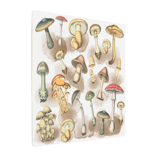 Vintage Woodland Forest Mushrooms Metal Print