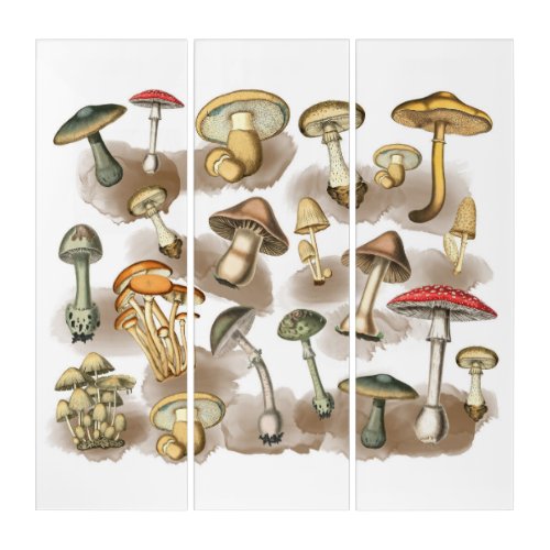 Vintage Woodland Forest Mushrooms Triptych